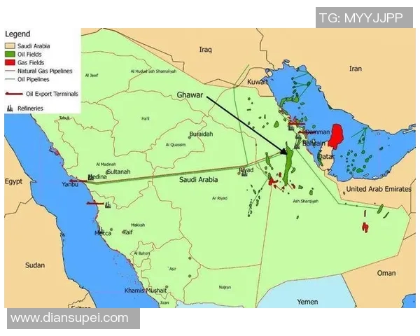 阿联酋与沙特足球对决深度分析专家观点与战术解析